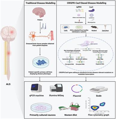 CRISPR/Cas9: implication for modeling and therapy of amyotrophic lateral sclerosis